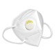 KN 95 Masks